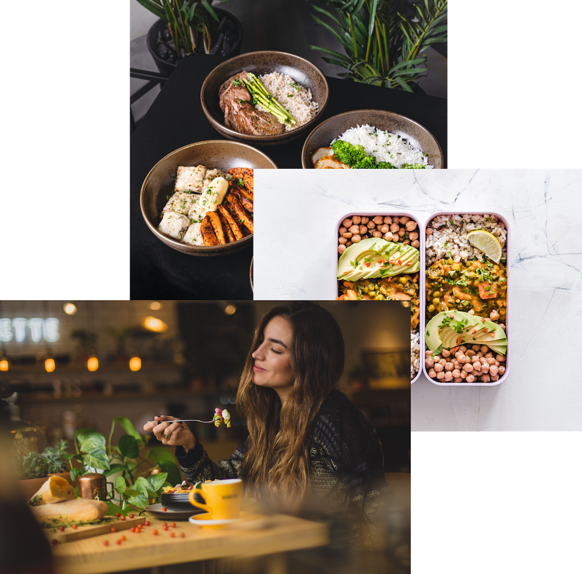 omnifood overview